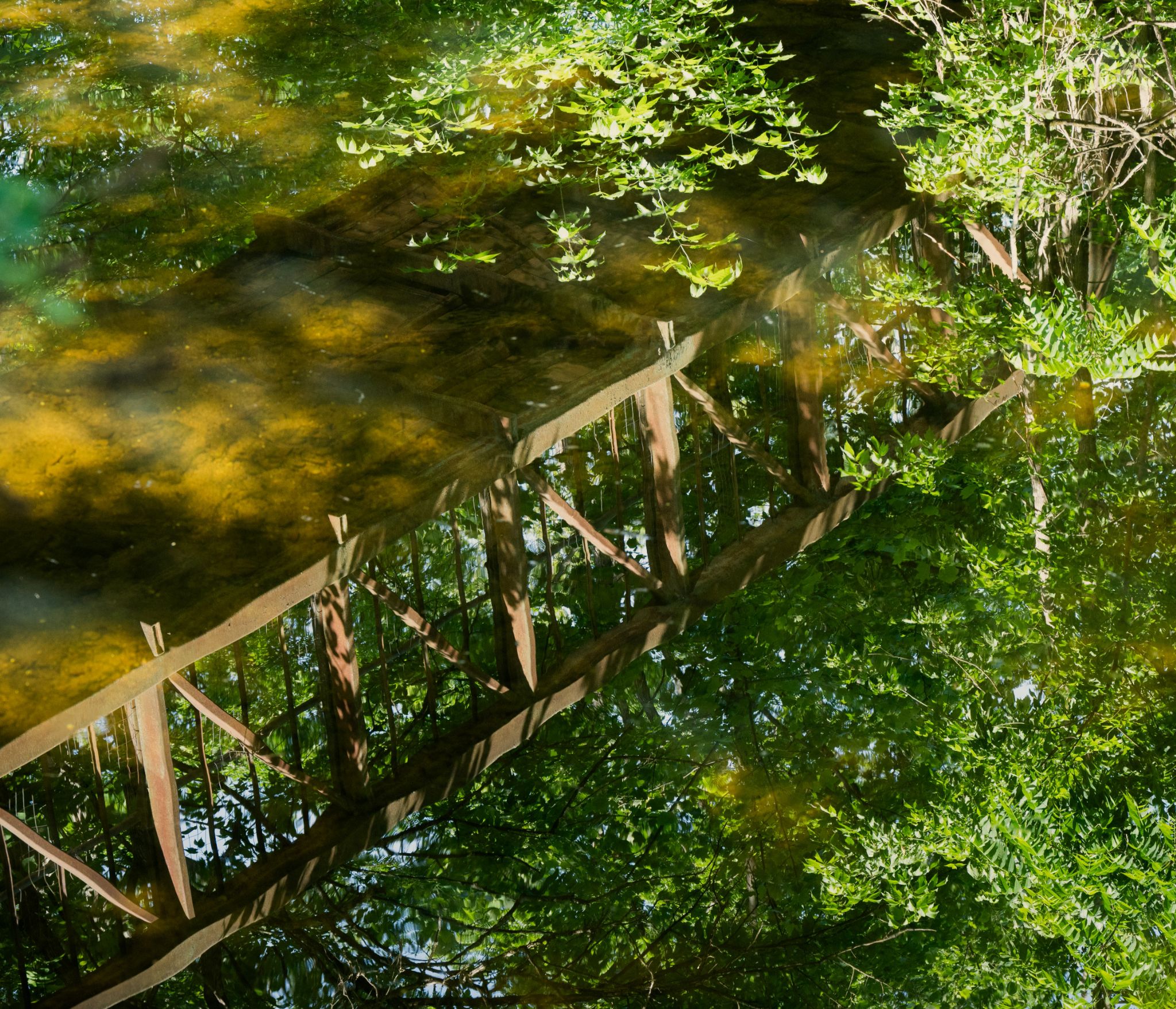 Spiegelung im Bach