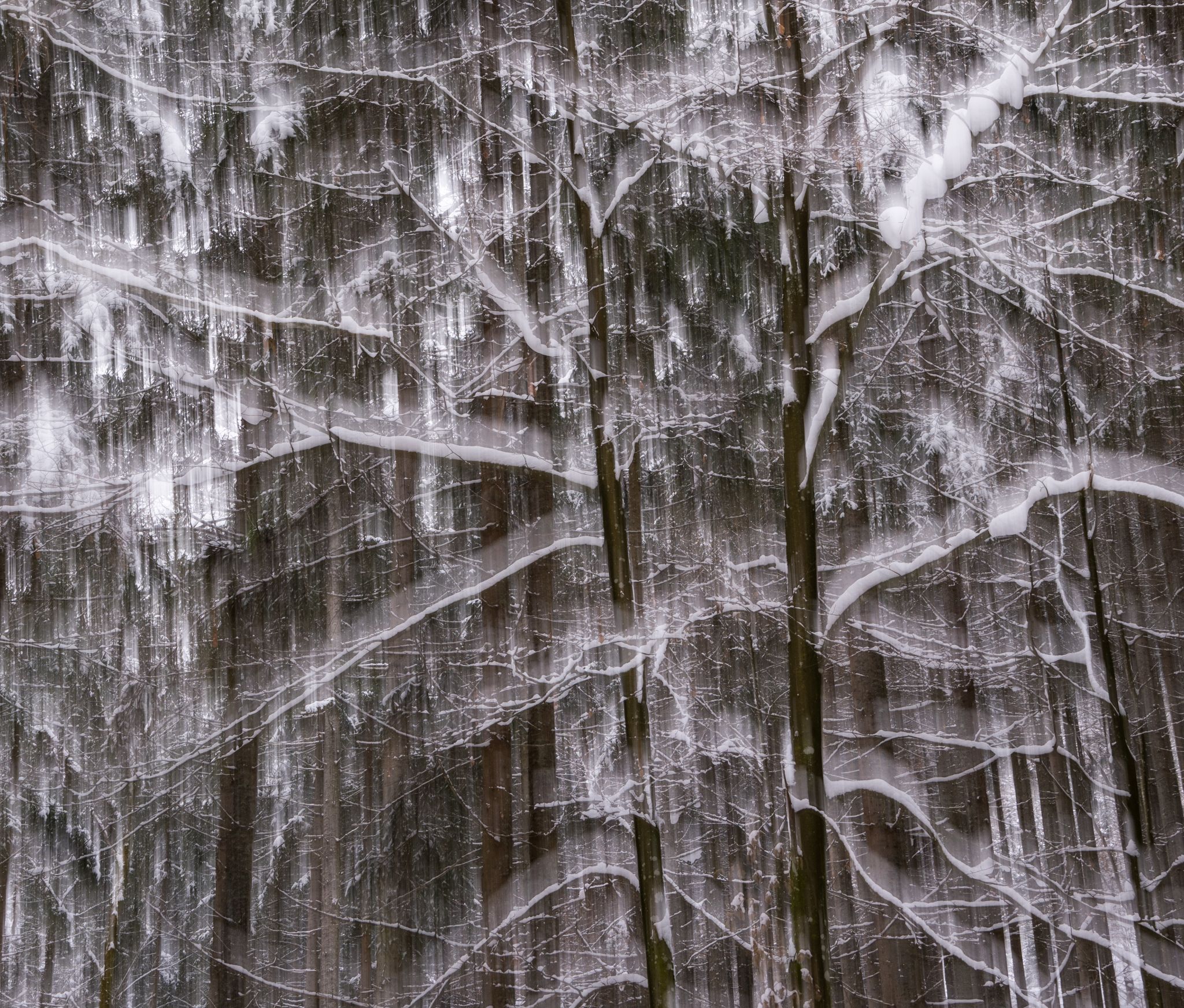 Österreich Leopoldsteinersee Winterwald1