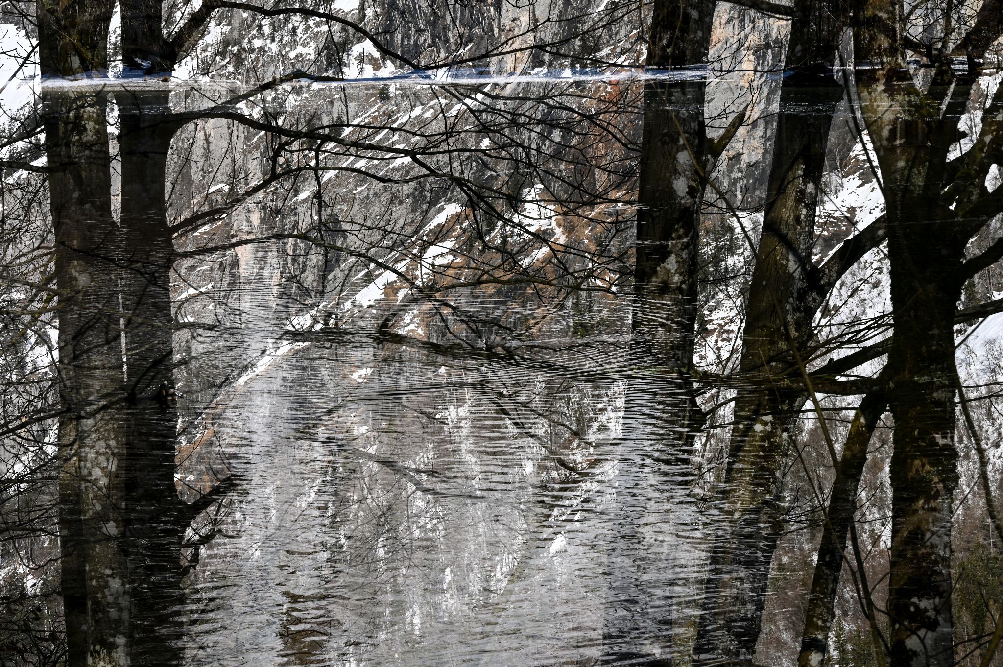 Österreich Leopoldsteinersee Winterwald3