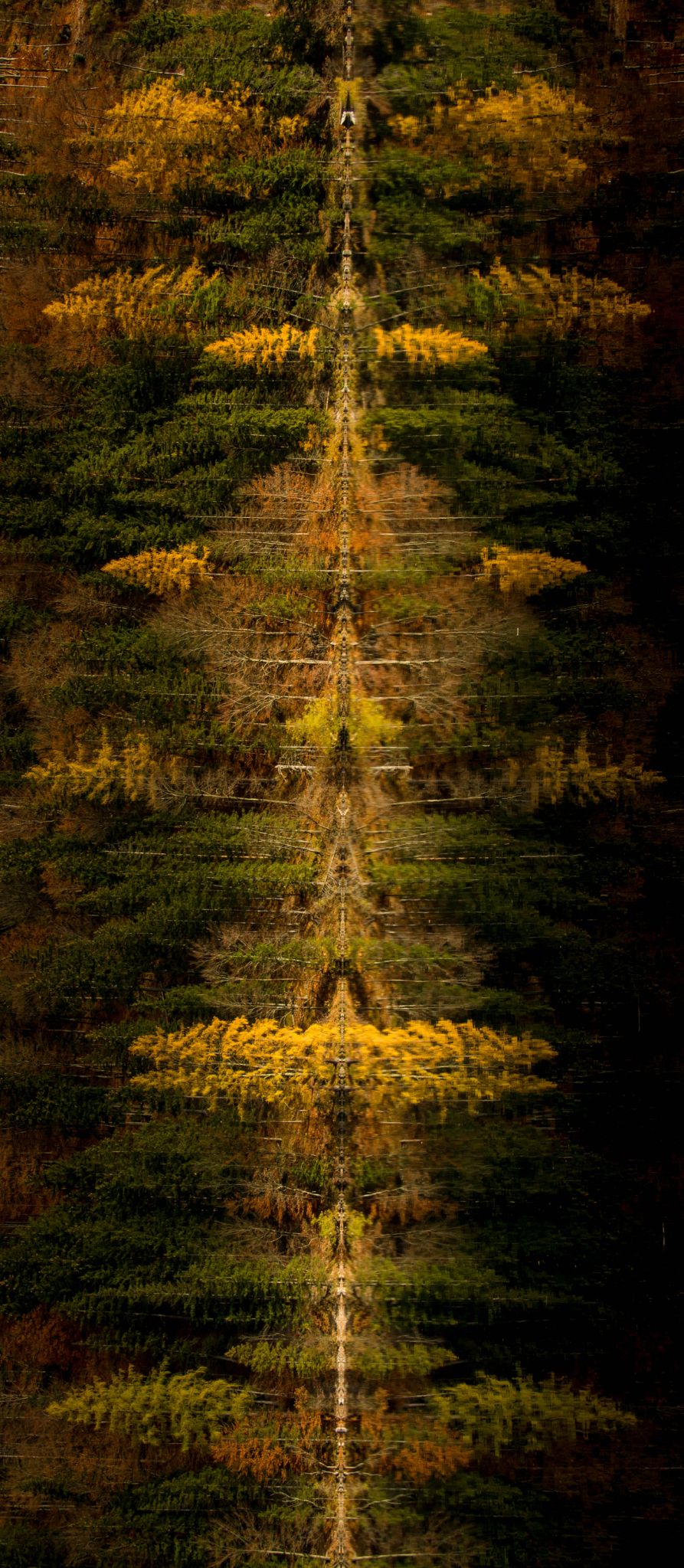 Österreich Leopoldsteinersee