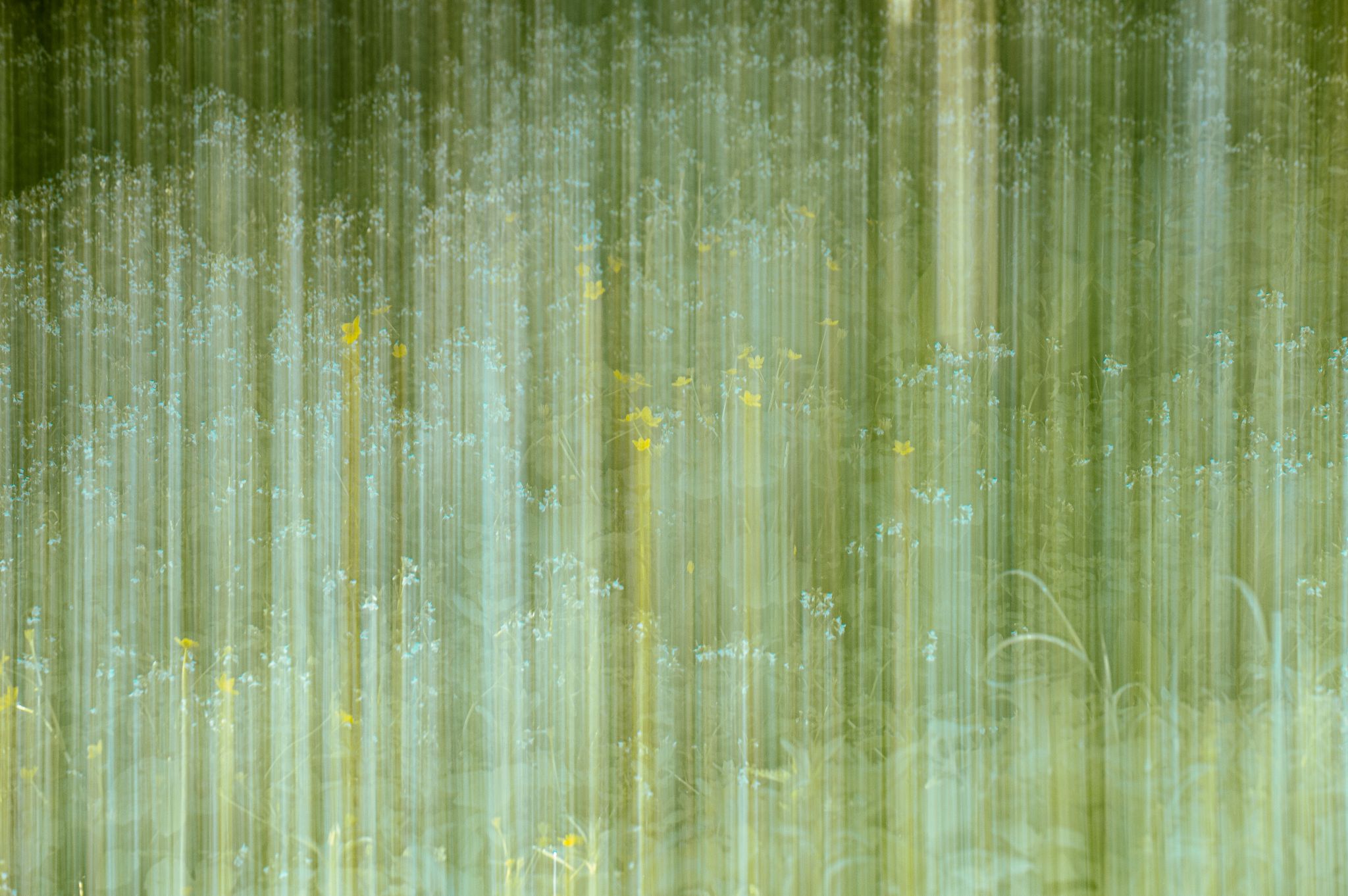 Österreich Trofaiach abstrakter Wald