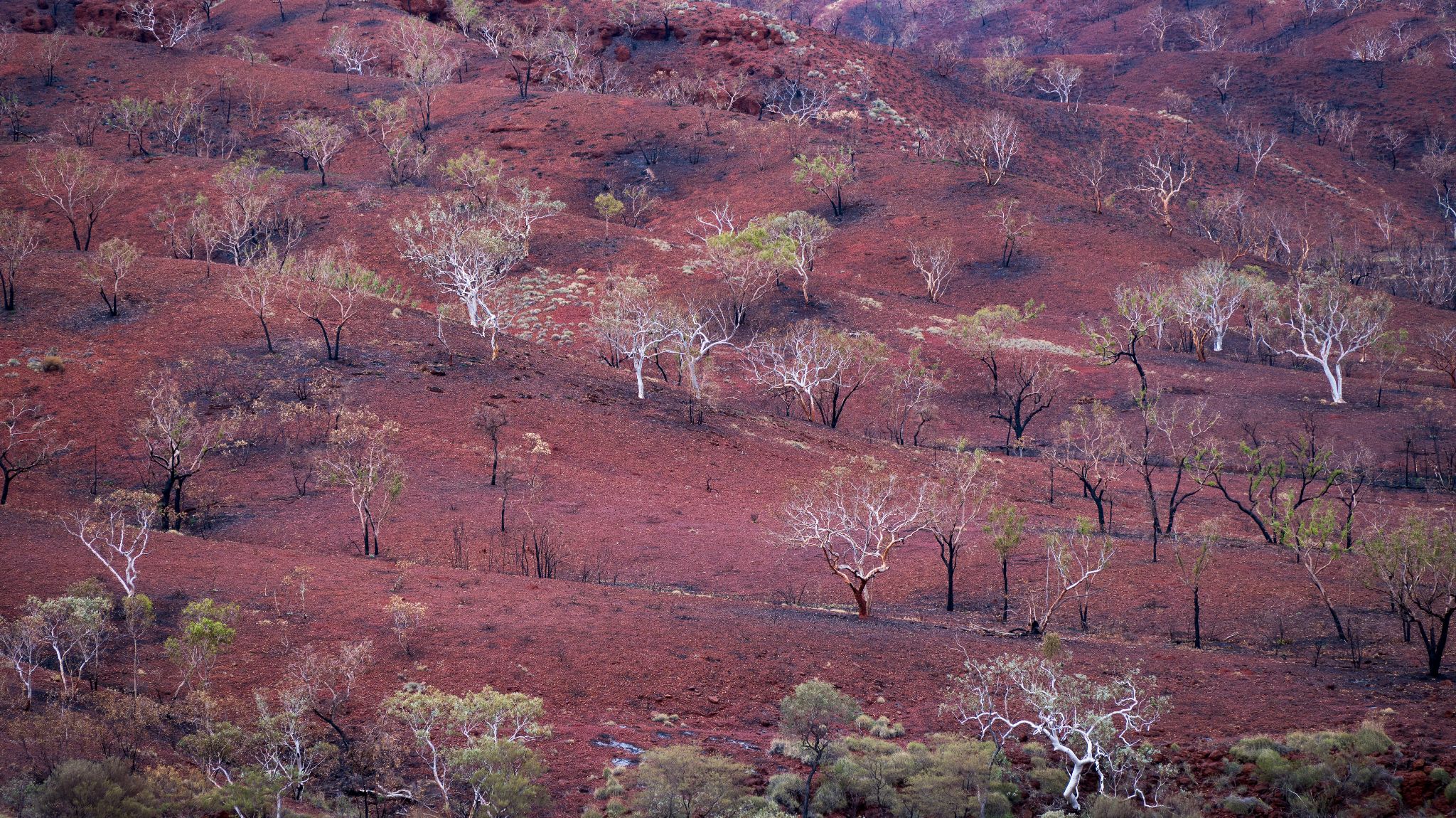 Australien Karijini N.P. 1