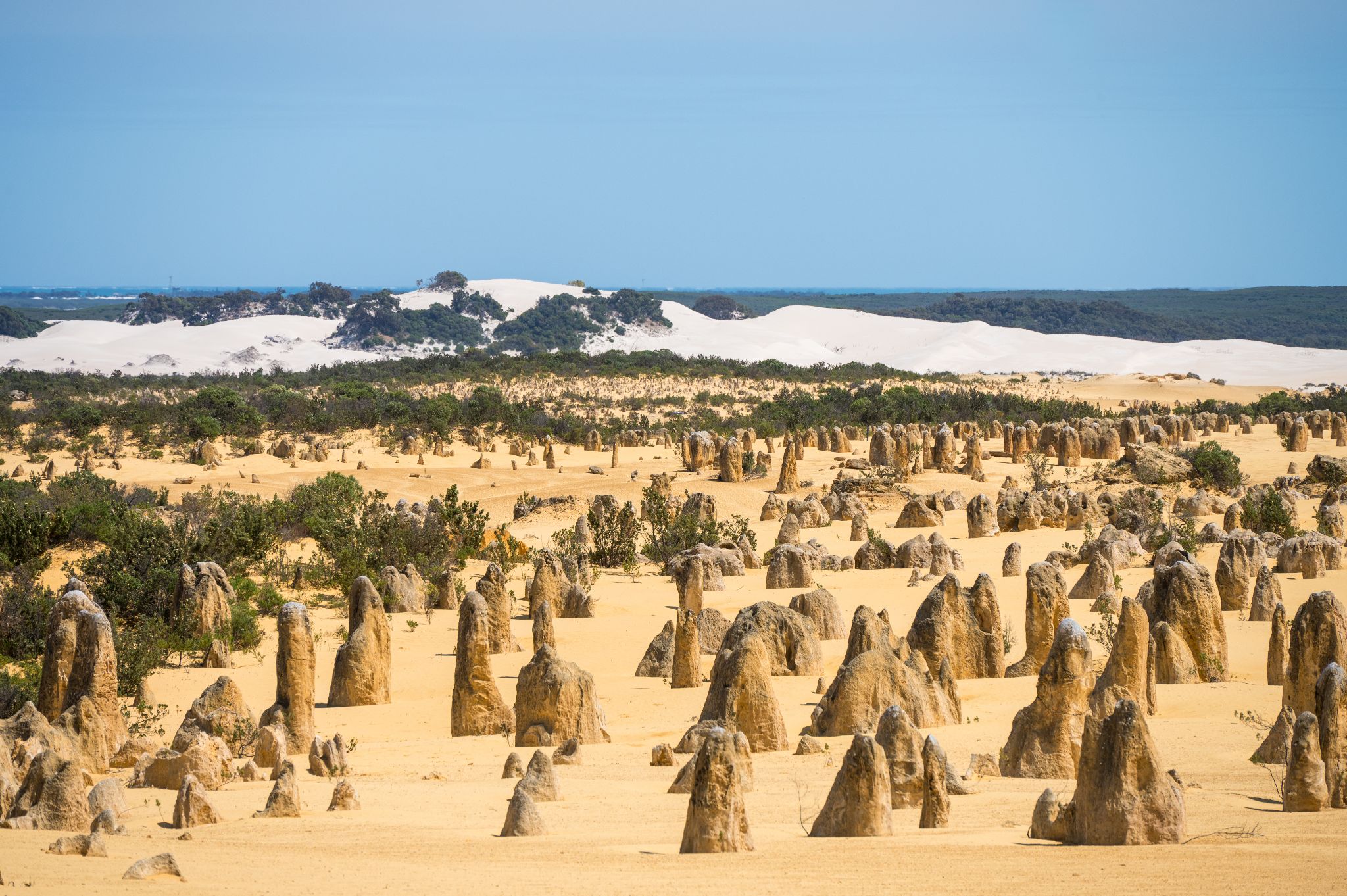 Australien Nambung N.P. Pinnacles