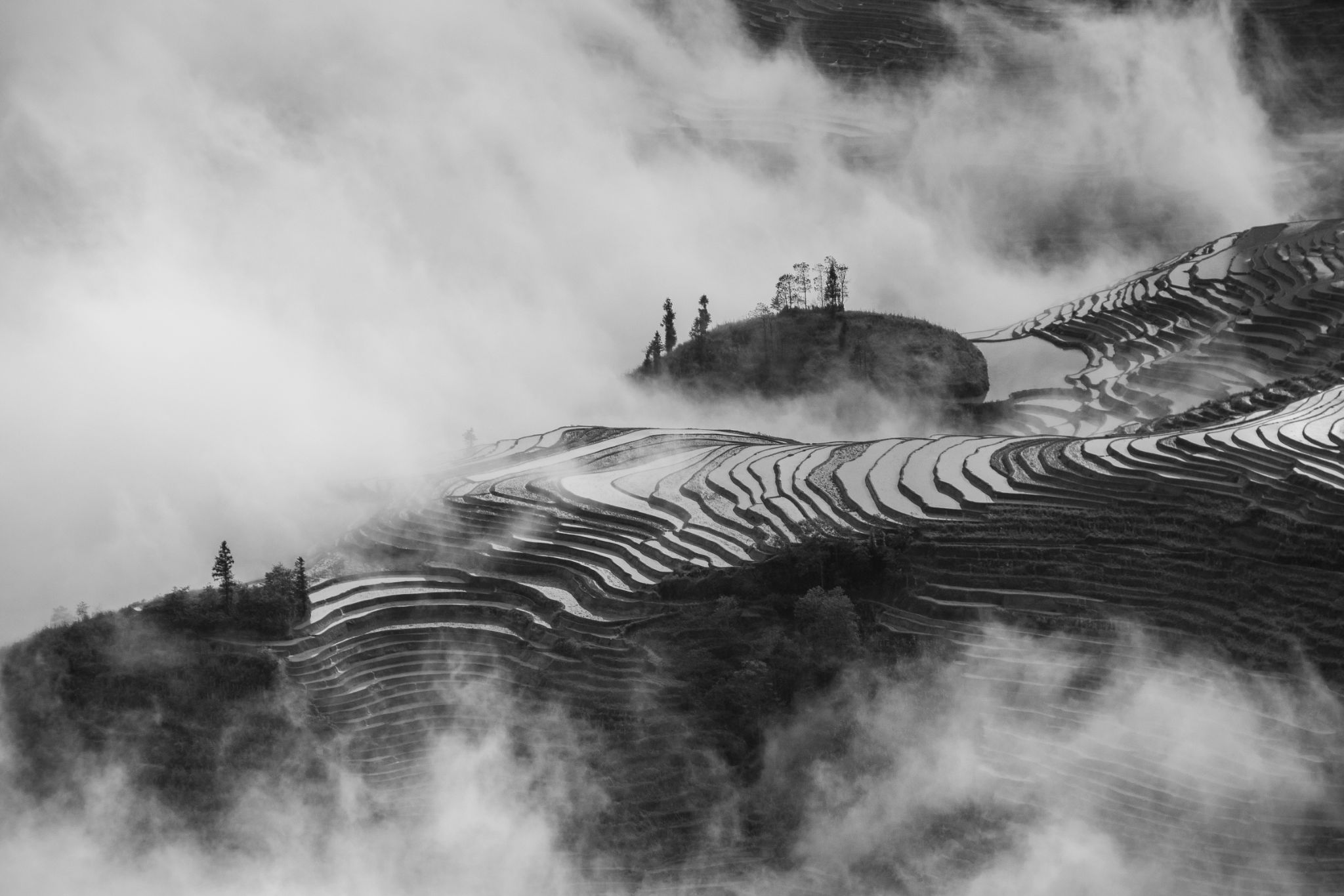 China Yuangyang Reiseterrassen Nebel