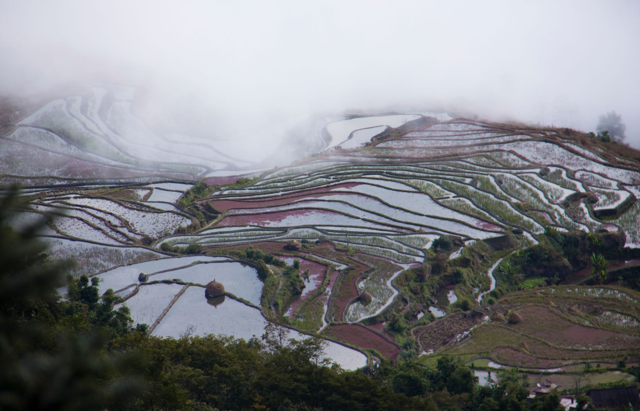 China Yuangyang Reisterrassen Morgenstimmung