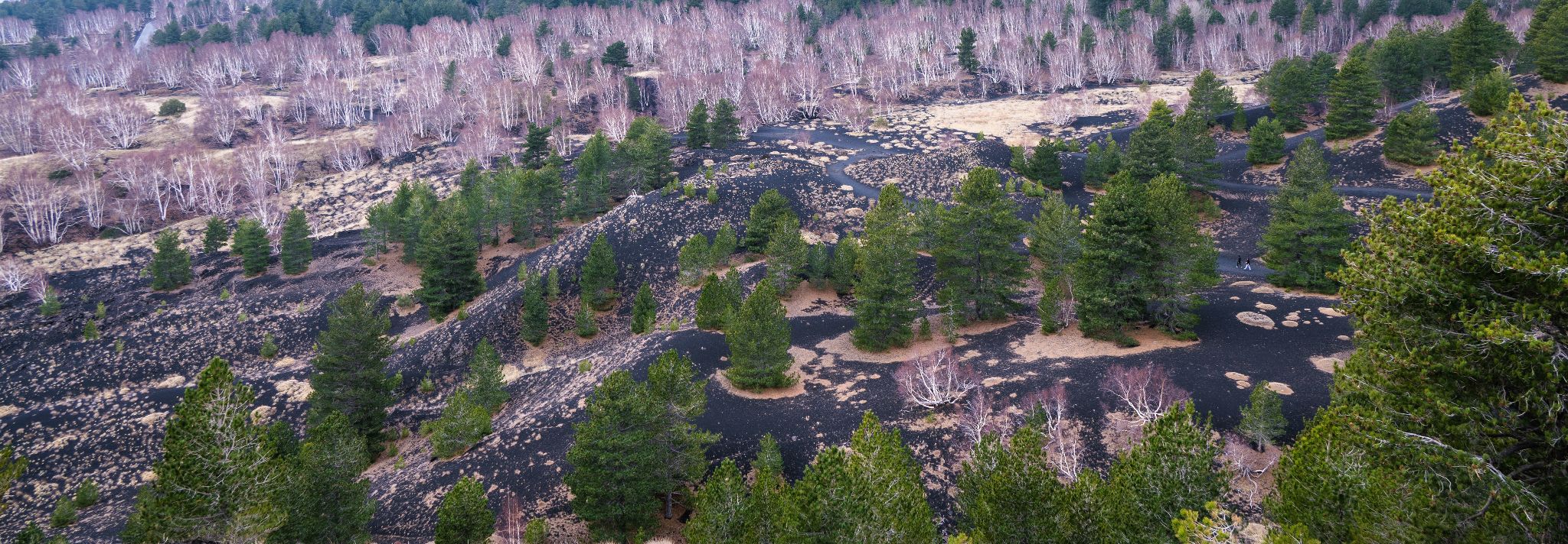 Italien Sizilien Monti Sartorius 1