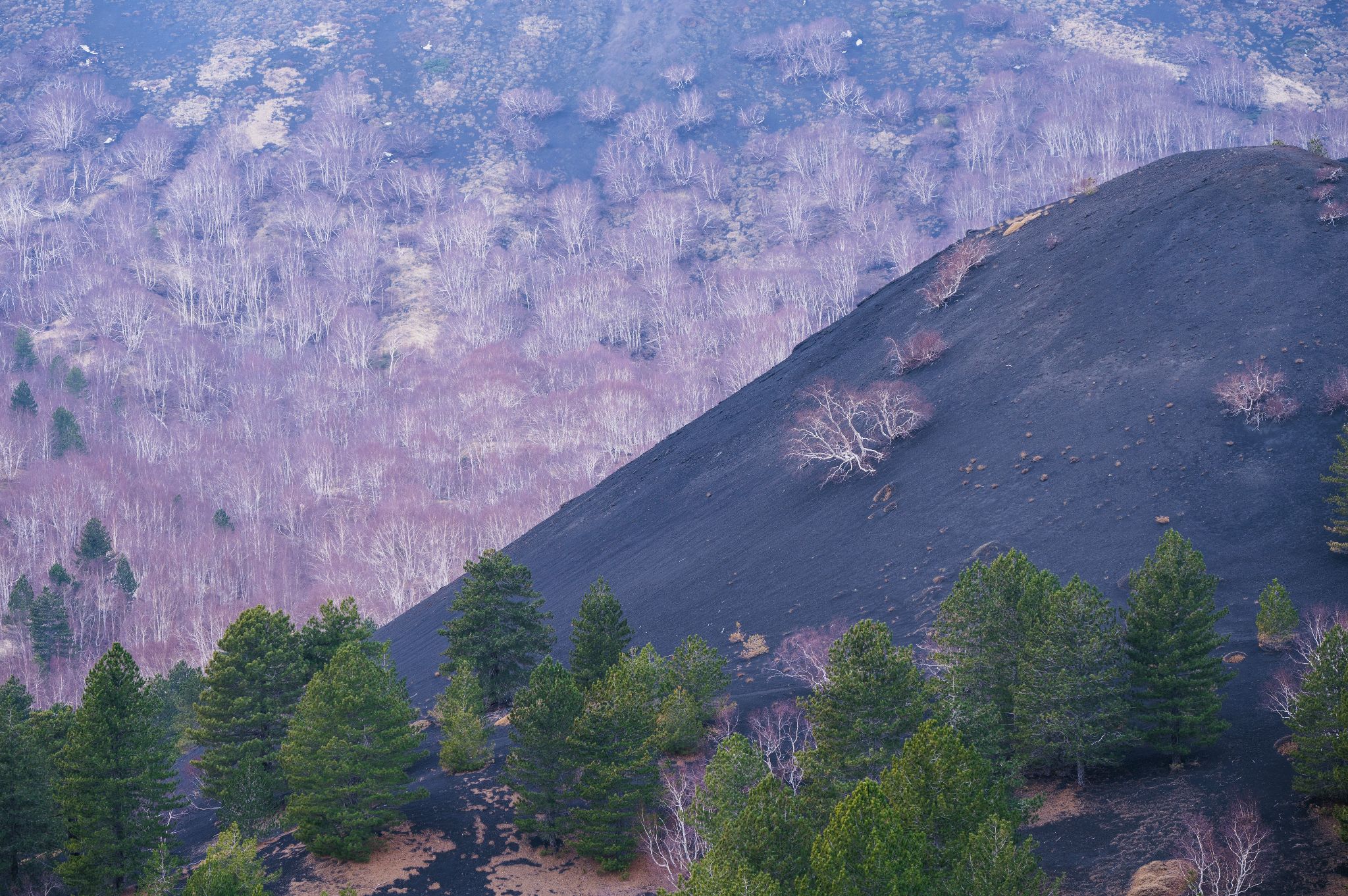 Italien Sizilien Monti Sartorius 2