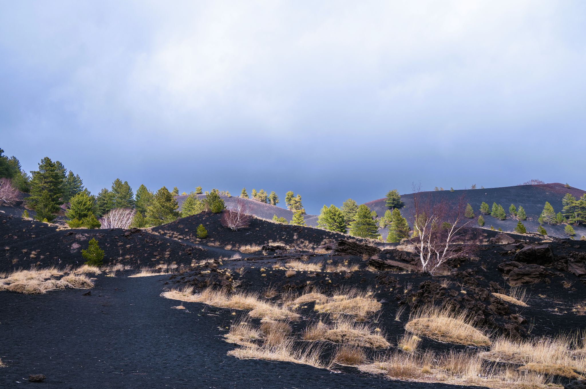 Italien Sizilien Monti Sartorius 3