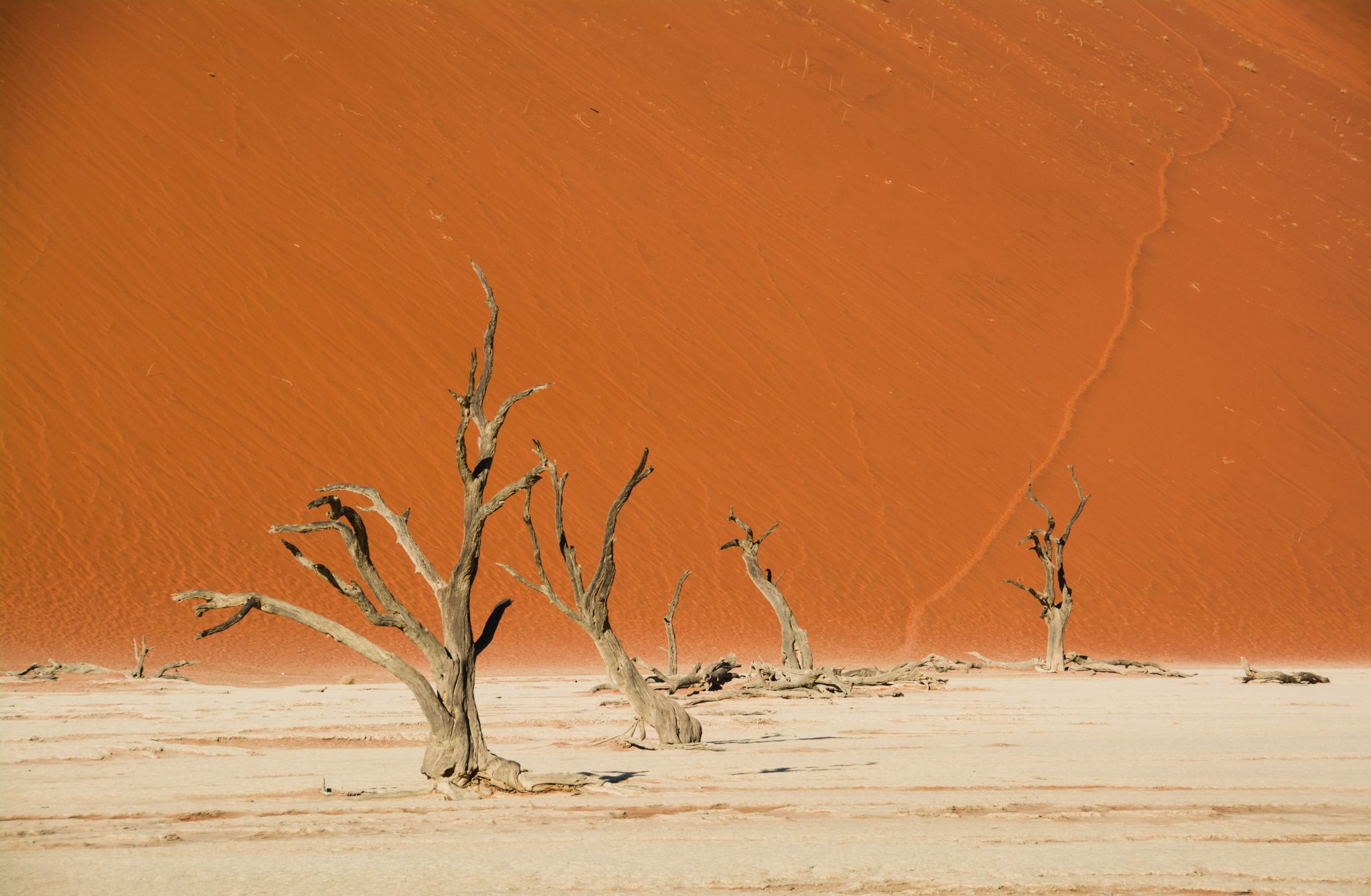 Namibia Dead Vlei