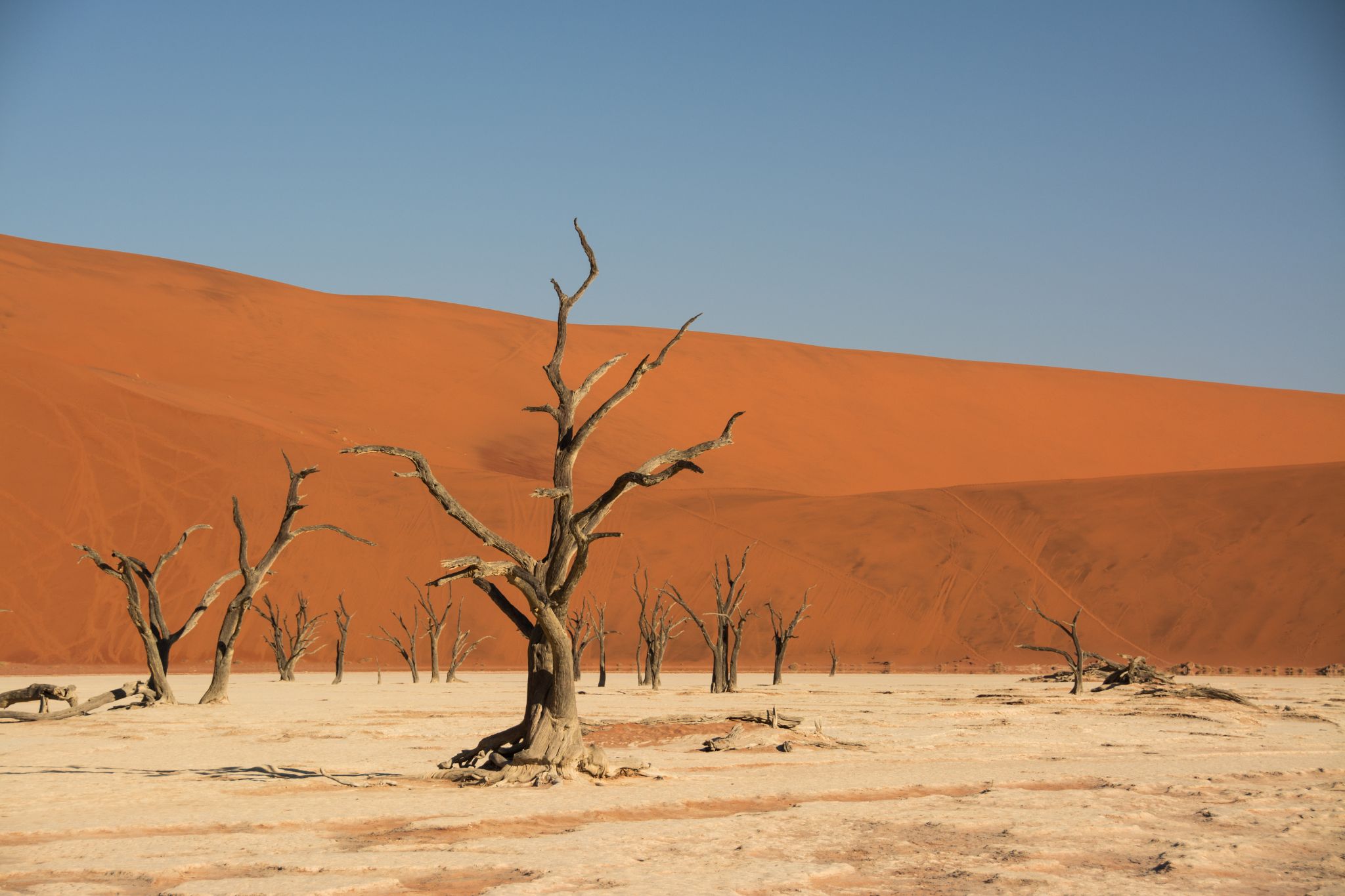 Namibia Deadvlei
