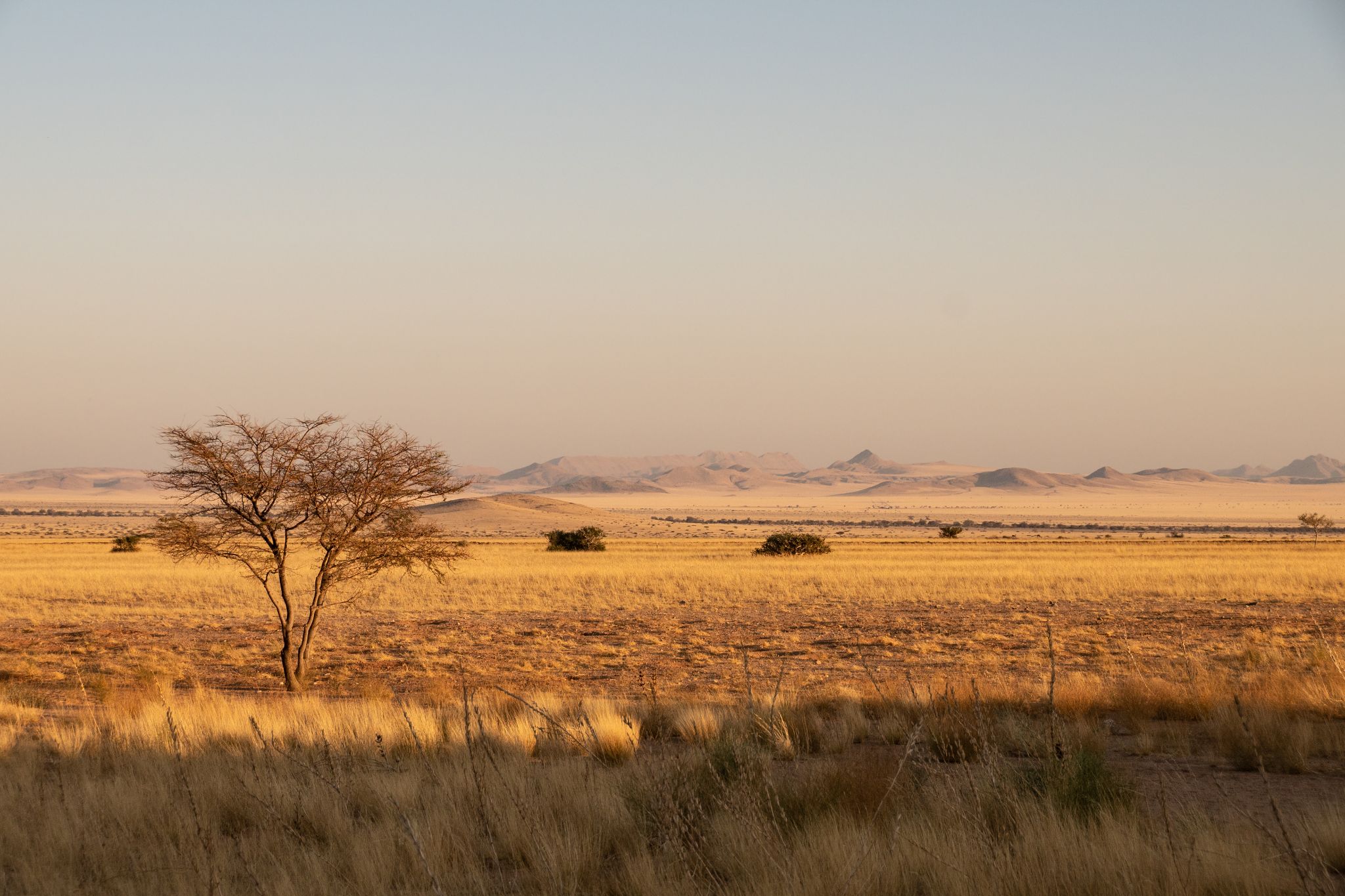 Namibia Namib Naukluft NP Sunrise