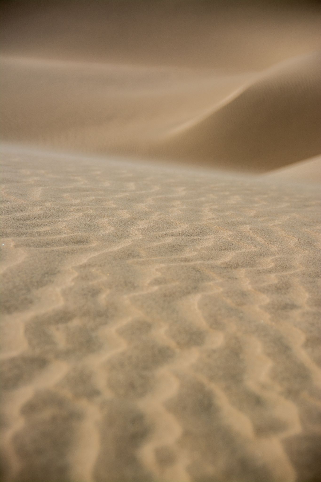Namibia Namib Sandmuster