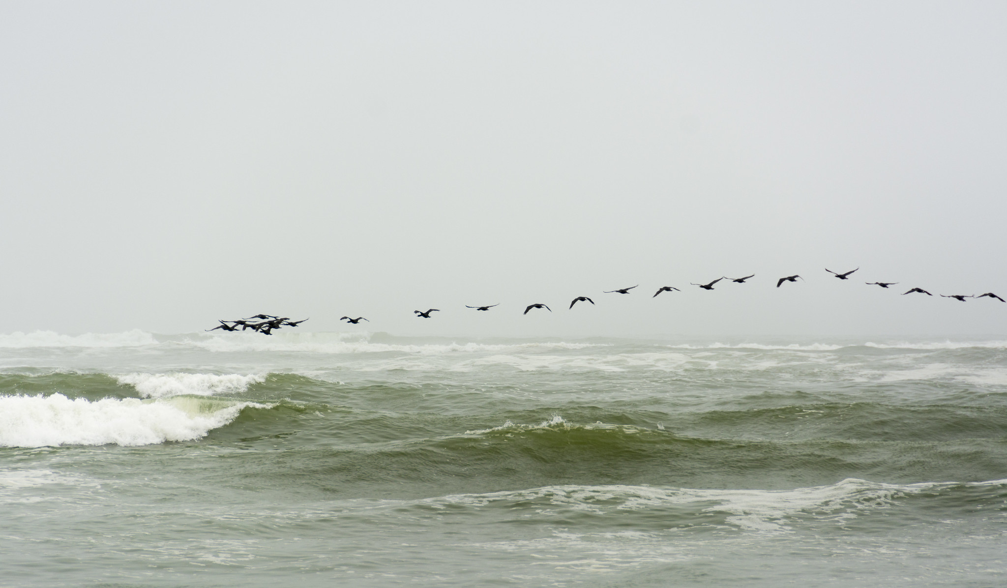 Namibia Skeletoncoast