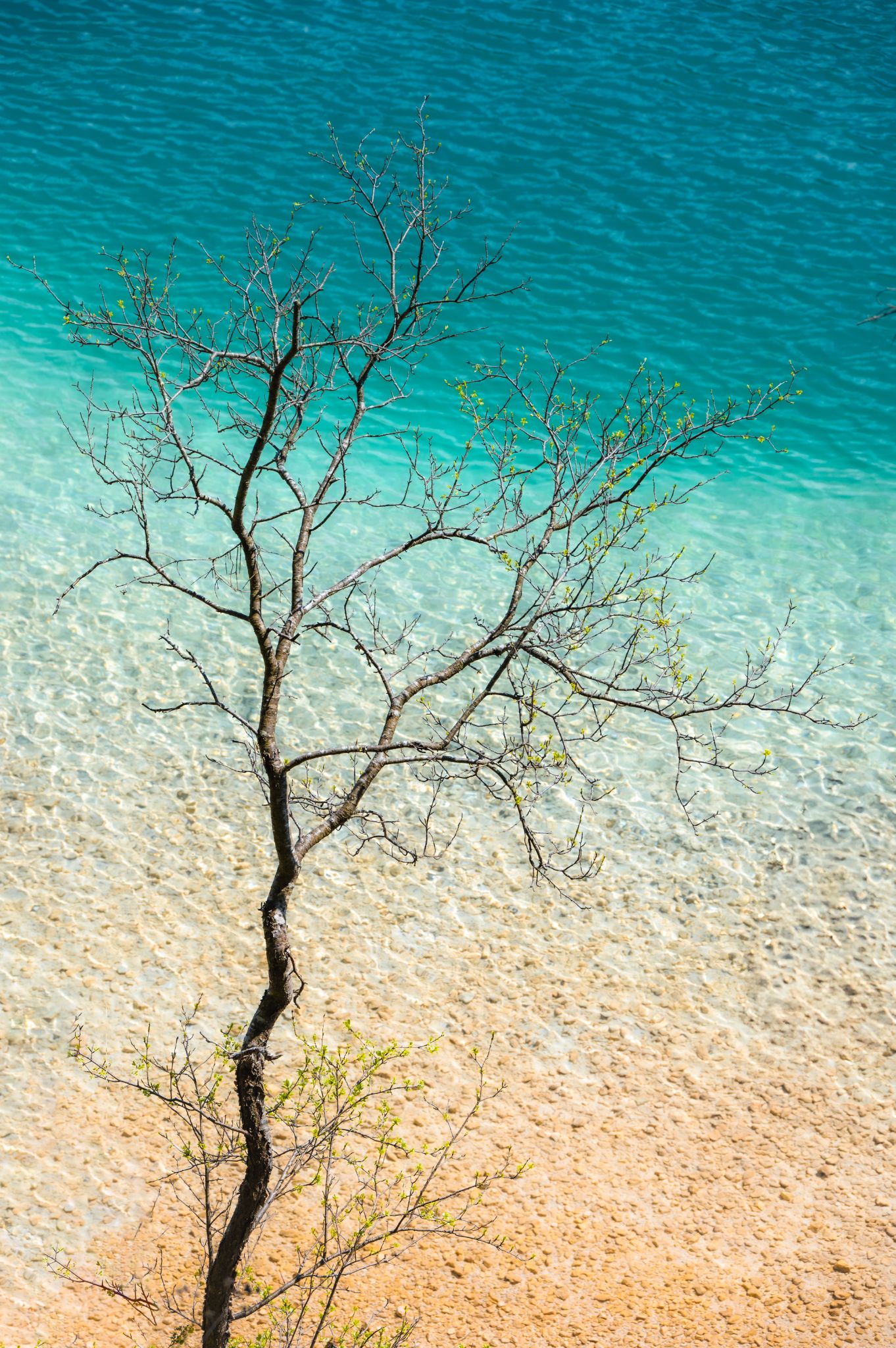 Österreich Fuschlsee