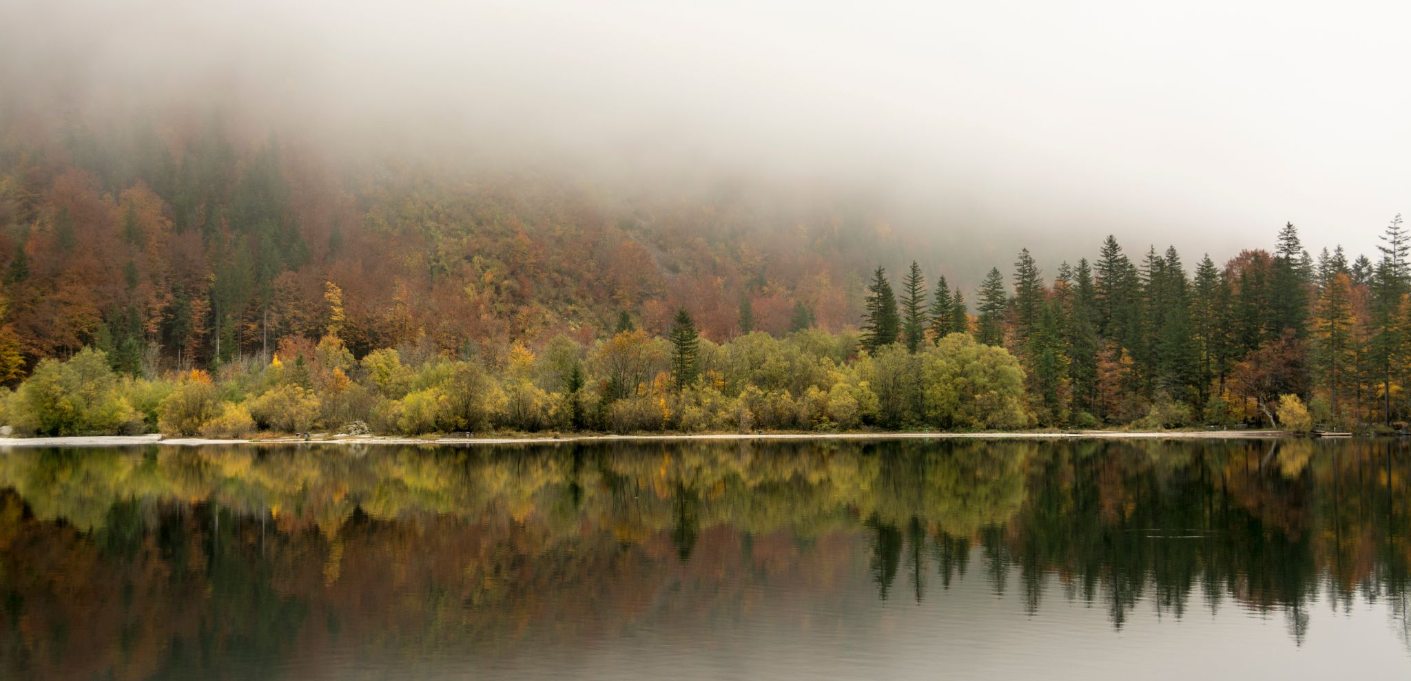 Österreich Leopoldsteinersee Herbst