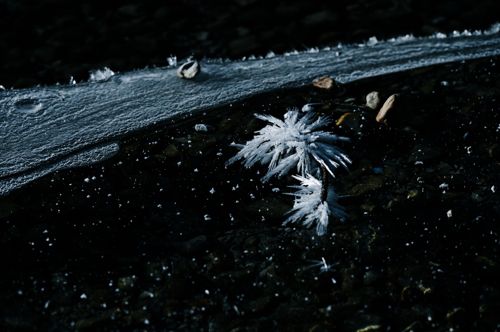 Österreich Leopoldsteinersee Winter Eis