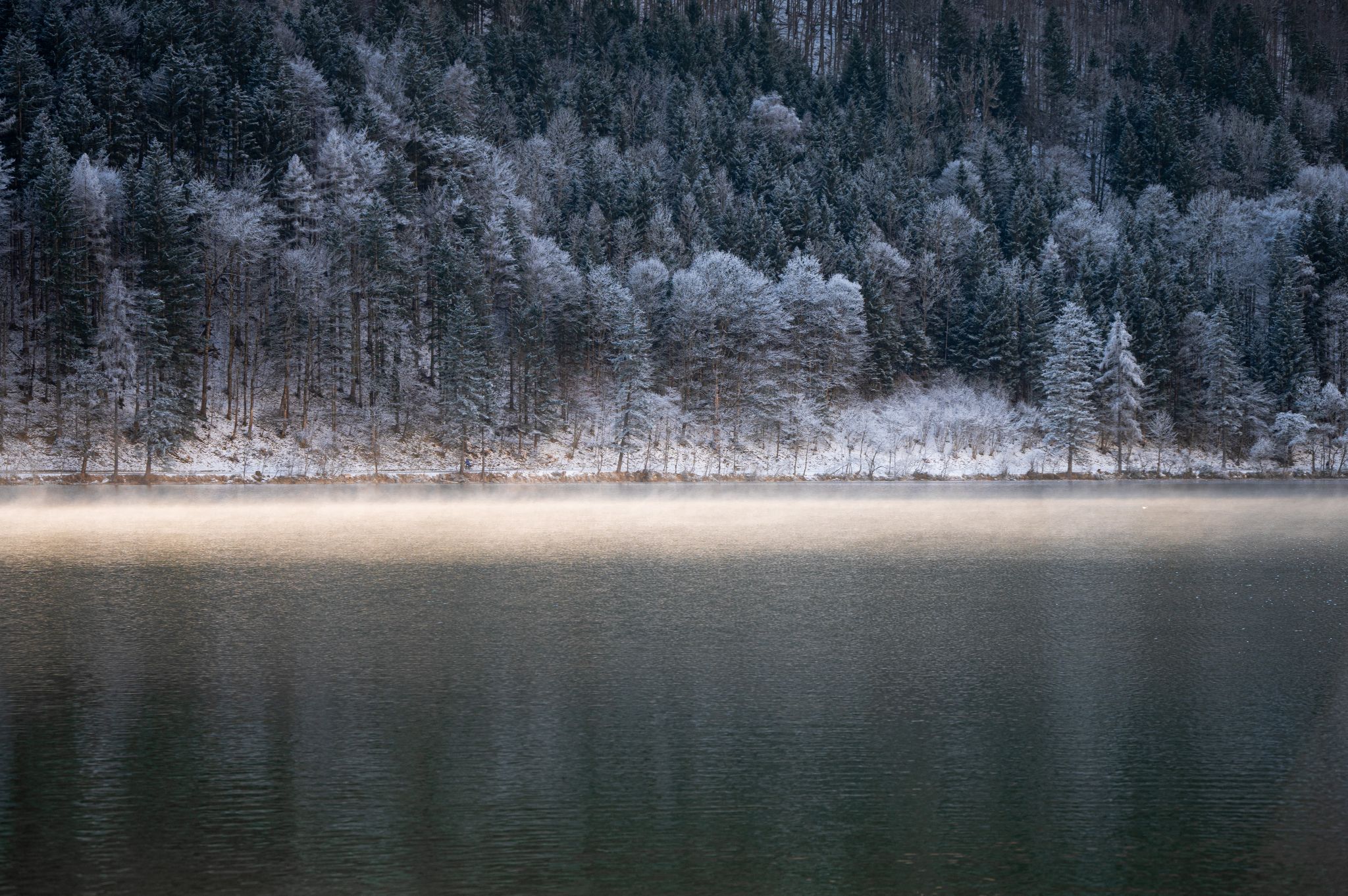 Österreich Leopoldsteinersee Wintermorgen