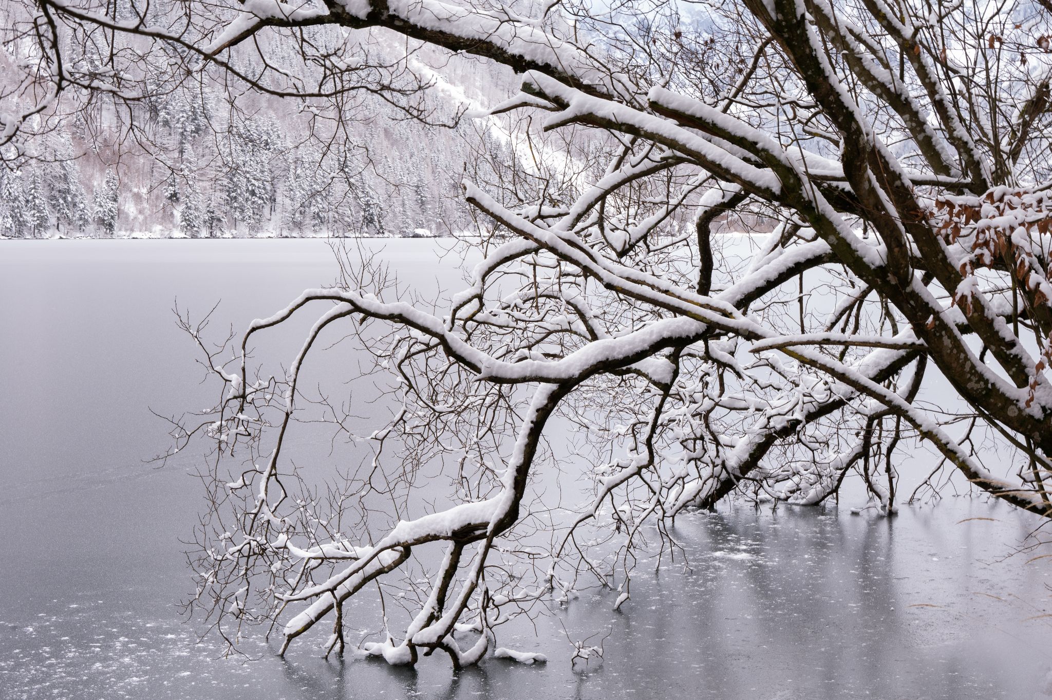 Österreich Leopoldsteinersee Winterwald2