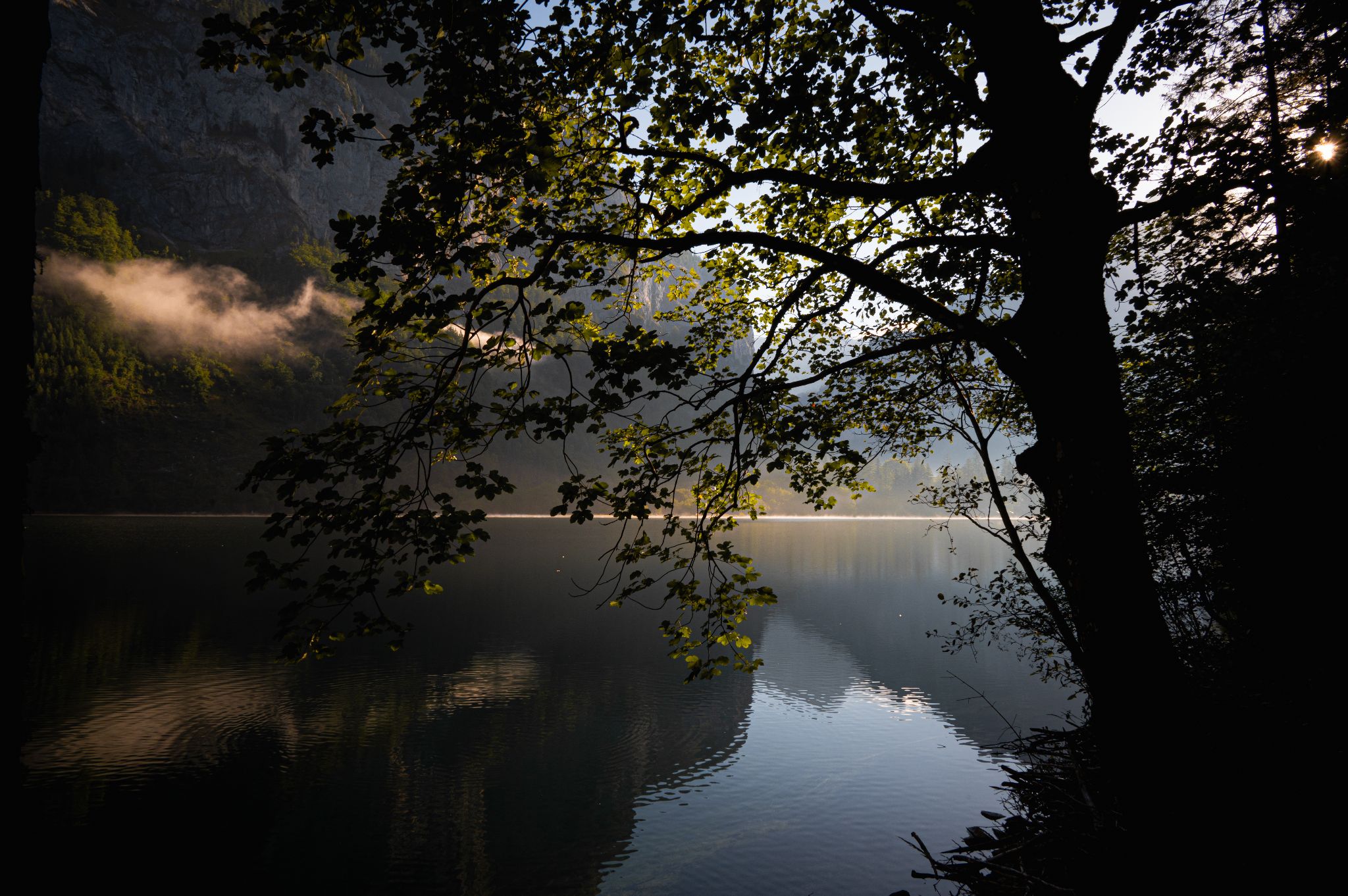 Österreich Leopoldsteinersee mystisch