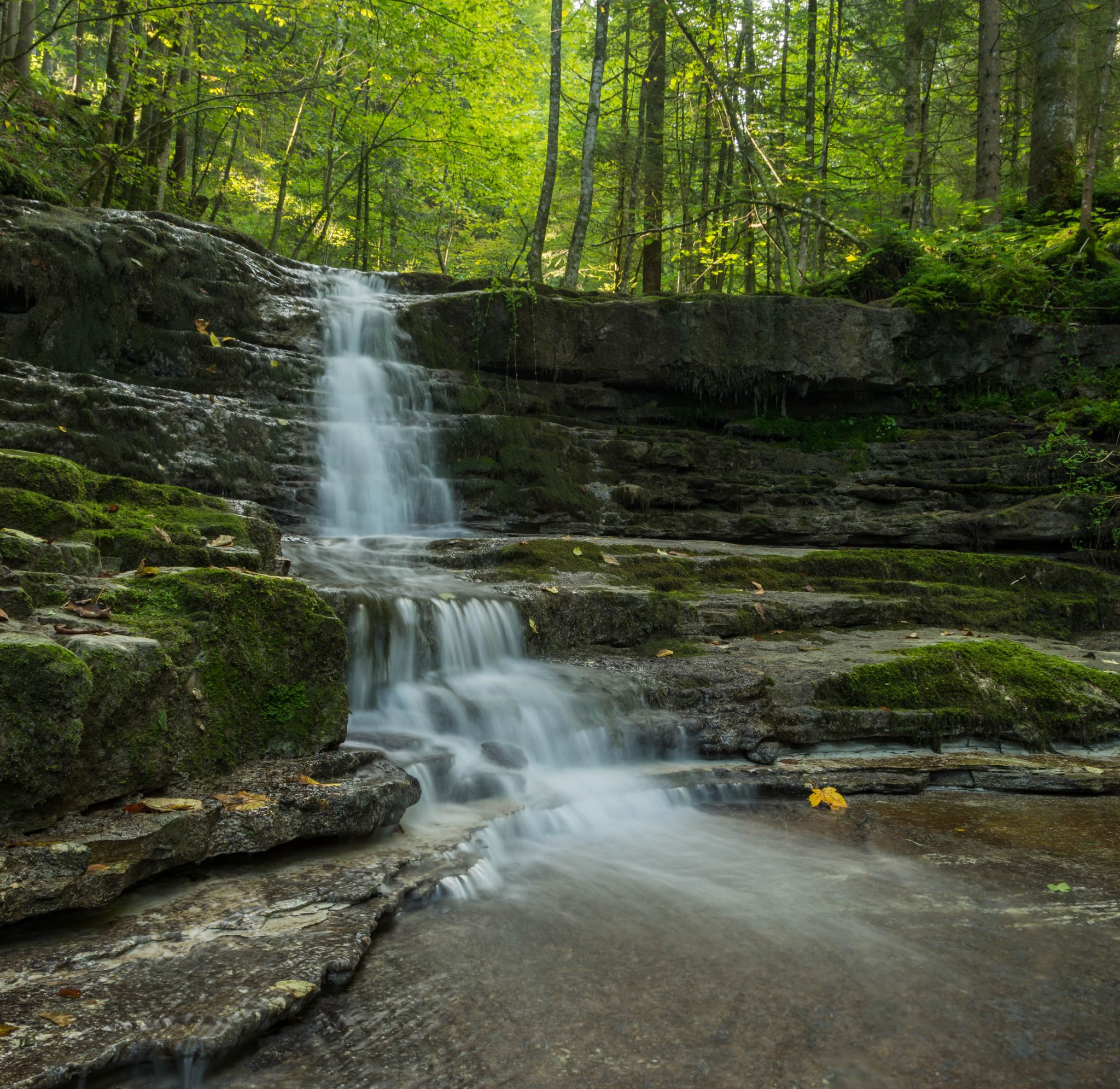 Österreich Tennengau Wasserfall Taugl