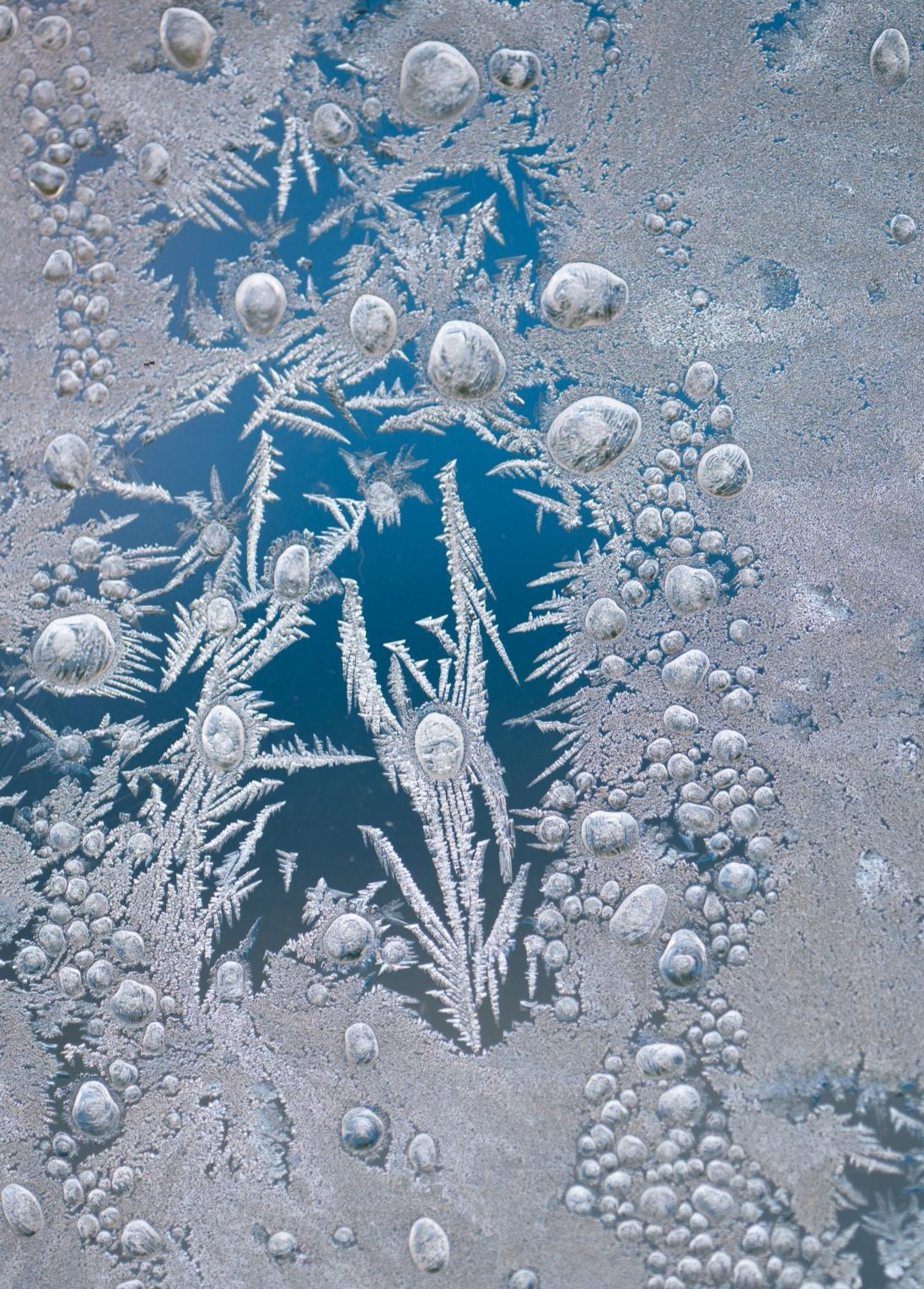 Österreich Trofaiach Eiskristalle