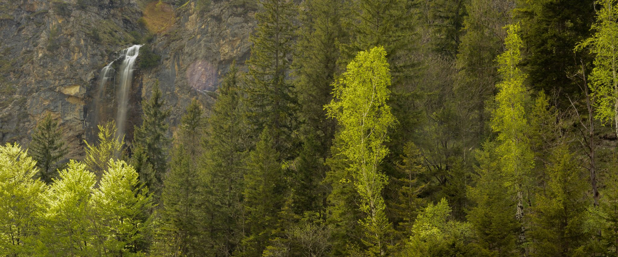 Österreich Ötschergräben 2