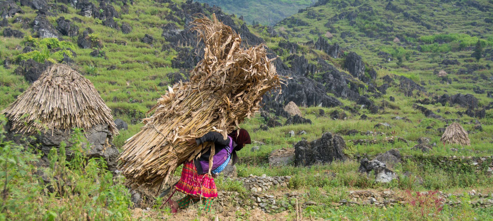 Vietnam Ha Giang Trägerin