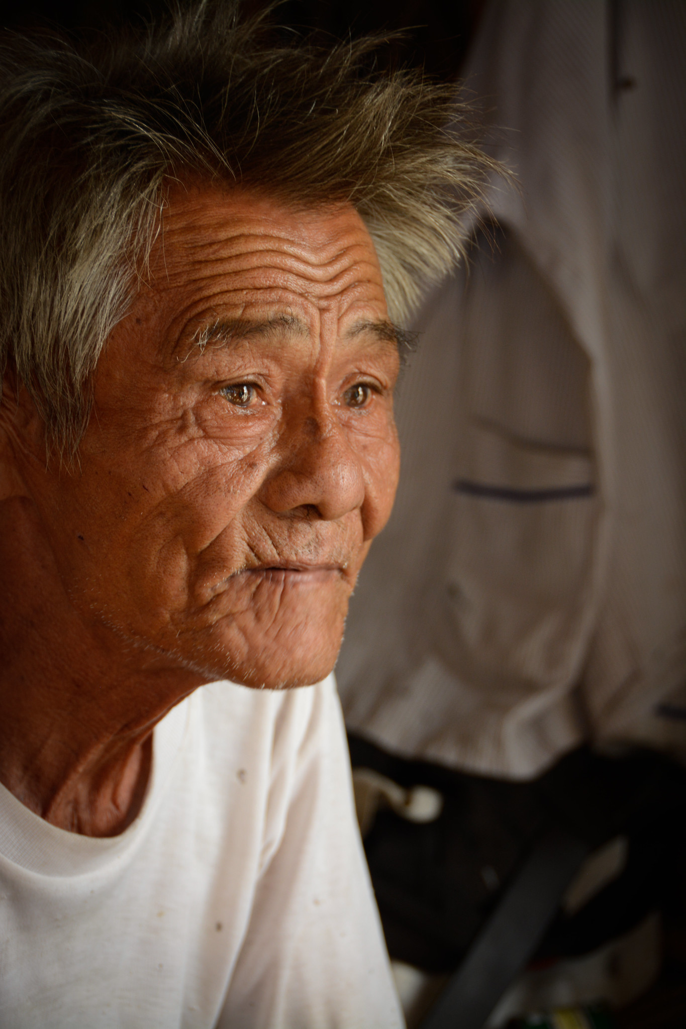 Vietnam Hoi An alter Fischer