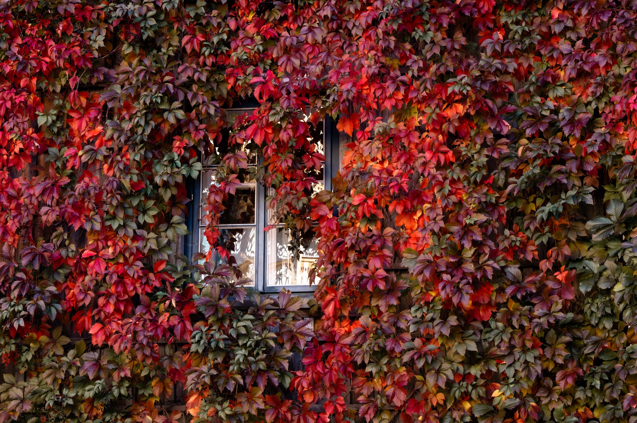 Österreich Altaussee